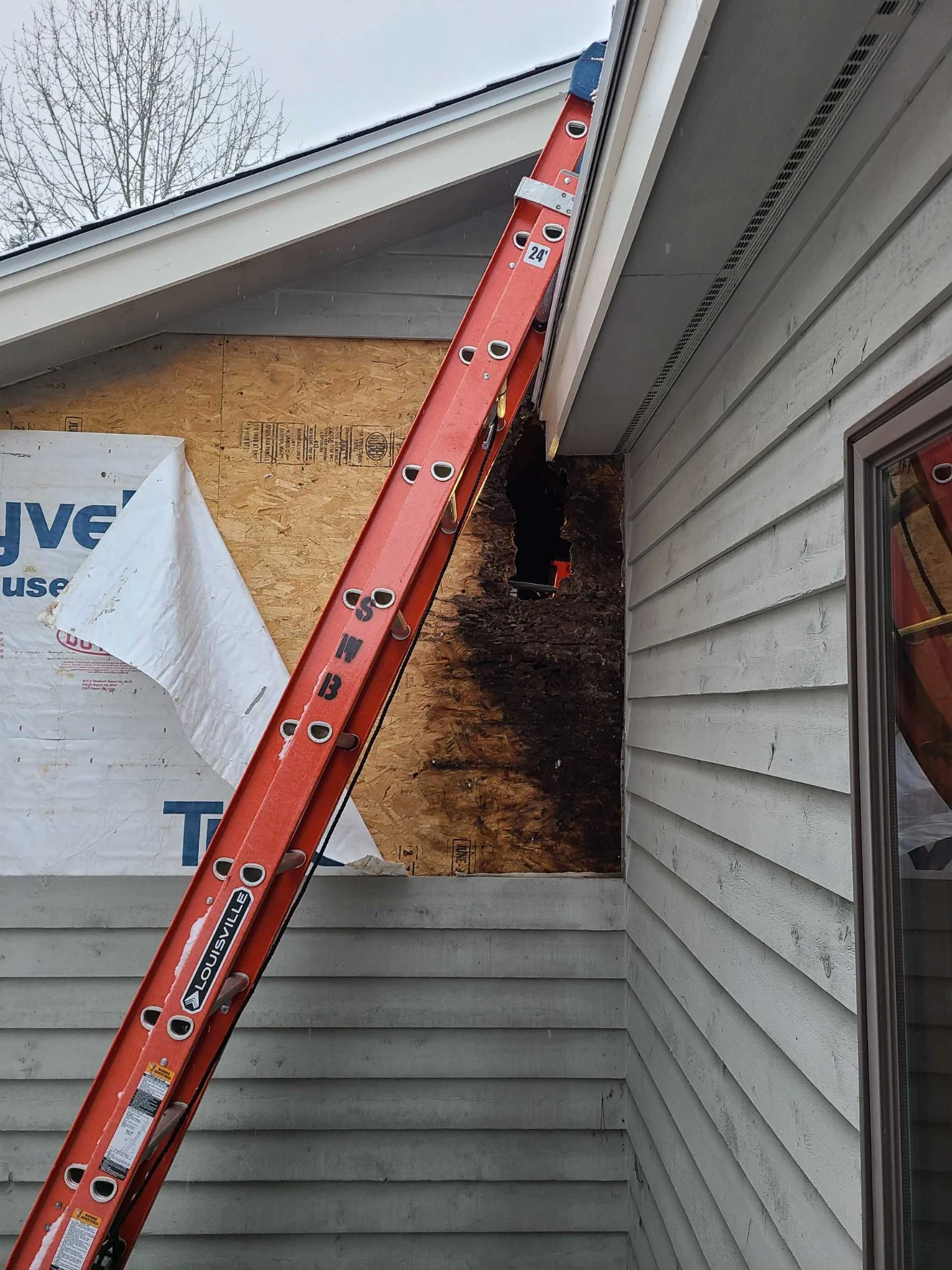 Wood rot damage before repair phase